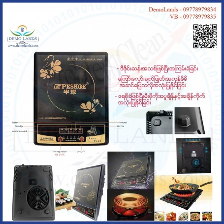 Induction Cooker